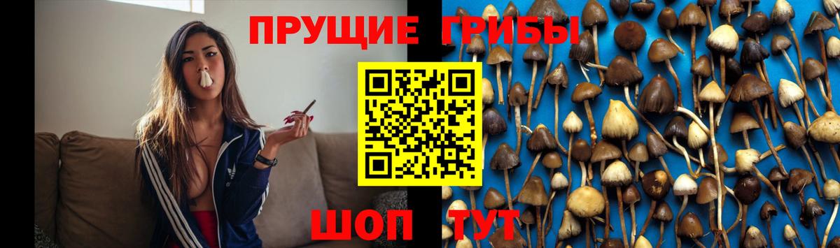 Галлюциногенные грибы Magic Shrooms Вичуга
