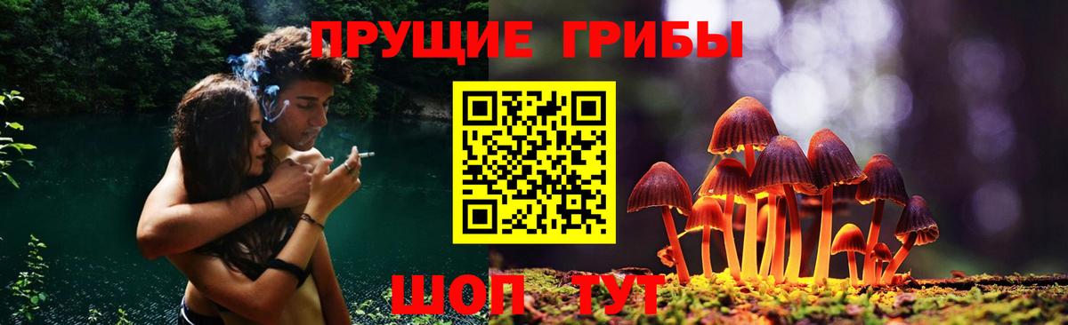 Вичуга  Псилоцибиновые грибы Cubensis  Галлюциногенные грибы MAGIC MUSHROOMS  Вход с VPN 